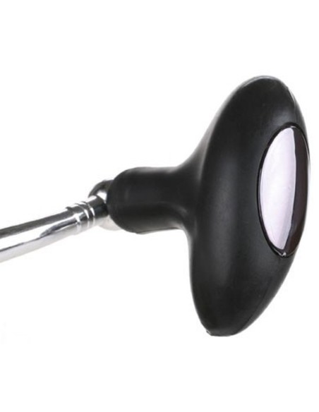 ANGELNROLLE SURF ACE 12007