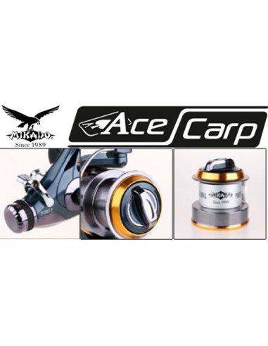 ANGELNROLLE ACE CARP