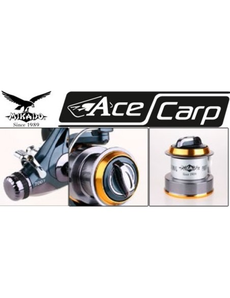 ANGELNROLLE ACE CARP