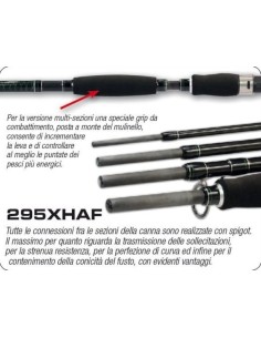 CANNE MEGAFORCE BIG FISH XH-AF 2