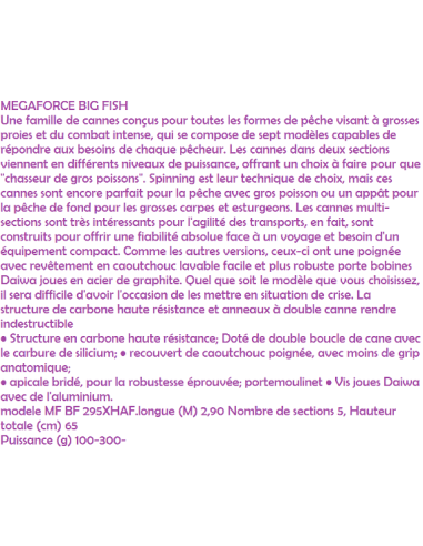 CANNE MEGAFORCE BIG FISH XH-AF