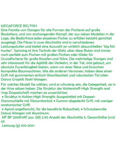 CANNE MEGAFORCE BIG FISH XH-AF