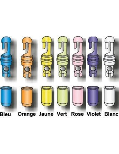 Apicale FIXED LINES OVER SIZE