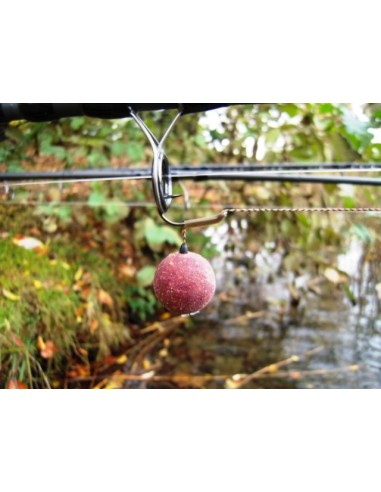 BOUILES PROBIOTIC PRO PLUM PLUS