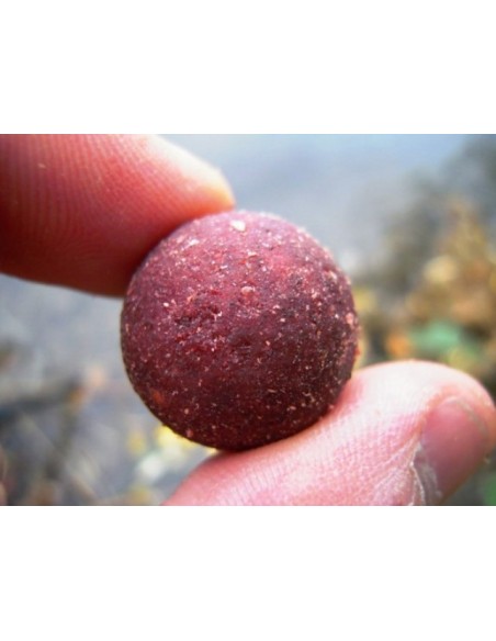 BOUILES PROBIOTIC PRO PLUM PLUS