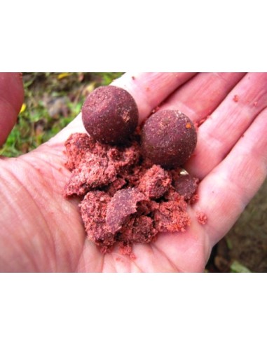 BOUILES PROBIOTIC PRO PLUM PLUS