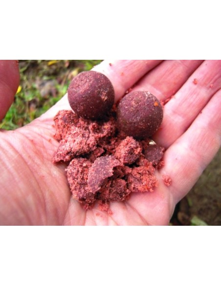 BOUILES PROBIOTIC PRO PLUM PLUS