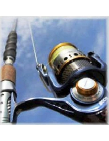 CANNE CAT TERRITORY BOAT QUEST