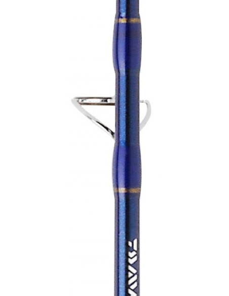 CANNE DAIWA EXCELER OCEANO JIG 581