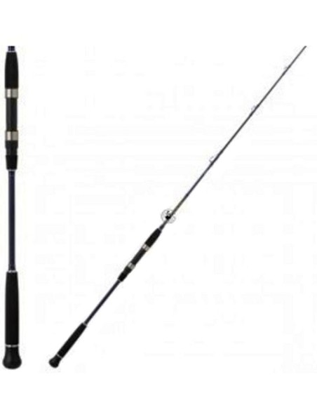 CAÑA DAIWA EXCELER OCEANO JIG 581 HS,
