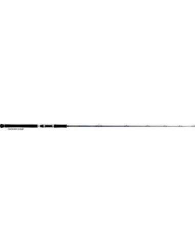 CAÑA DAIWA EXCELER OCEANO JIG 581 HS,