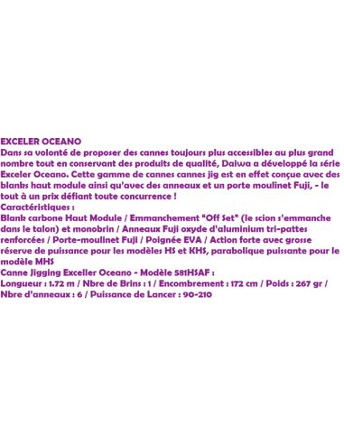 CANYA  DAIWA EXCELER OCEANO JIG 581 HS,