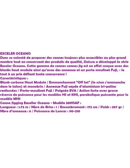 CANNE DAIWA EXCELER OCEANO JIG 581