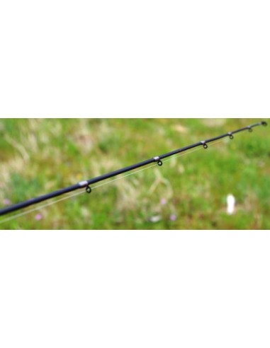 CANNA VEGA 5191 AKADA ANACONDA