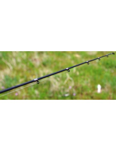 CANNA VEGA 5191 AKADA ANACONDA