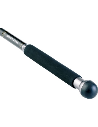 ANGELRUTE PROWESS ODESSA