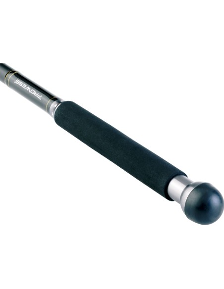 CANNE PROWESS ODESSA