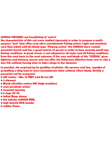 ANGELRUTE PROWESS ODESSA