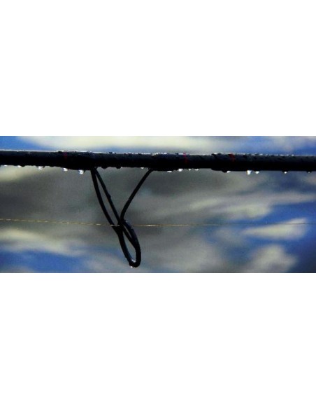 CANA WILDIE RESISTANCE CLASSIC