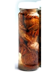 iscas naturais em salmoura