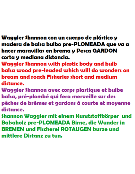 SENSAS, GALLEGGIANTE INGLESE, SHANNON