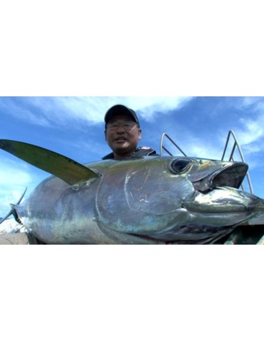 CANYA DAIWA SALTIGA BIG GAME 85 SF