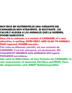 harina cañamon molida 2