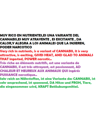 harina cañamon molida