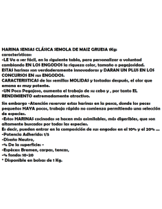 SENSAS SEMOLA DE BLAT GRUIXUDA 2