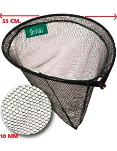 CABEZA SACADERA, ENGLAND, GRANDES PECES