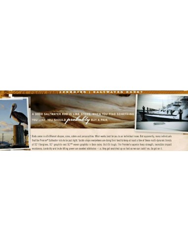 St. Croix-Premiers Saltwater trolling Rod 30-50 lb. 