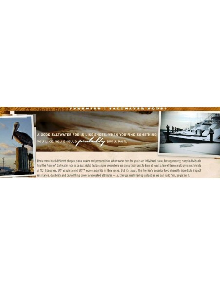 St. Croix-Premiers Saltwater canne trolling 30-50 lb. 