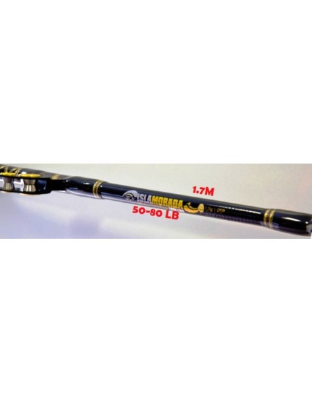 FISHING FERRARI ISLA MORADA TROLLING ROD