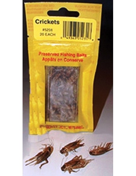 MAGIC PRODUCTS KRICKET 20 Einheiten