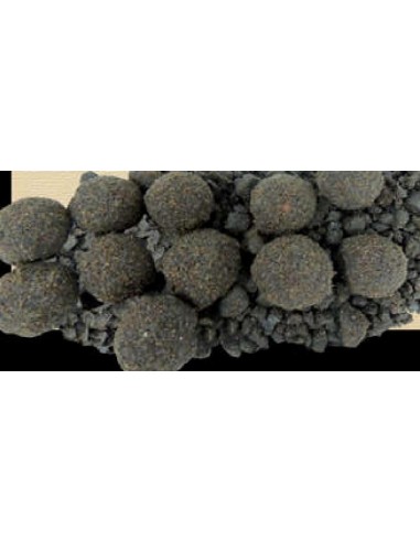 PELLETS AND BOILES AT THE MOMENT, WITH PUTTY