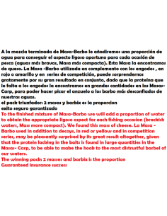 BARBO IMPASTO E il vincitore MISCELAZIONE  2