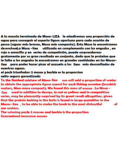 MASSA DE LIZA  E MISTURA Triunfadora