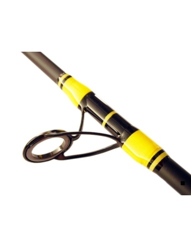 BLACK CAT CANYA PASSION PRO DX VERTICAL