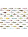 lures,SPINNERS,SPOONS,Rubber fish,JIGS